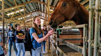 UC Davis Pre-College students enjoy meeting a horse before starting lab work at the Animal Science Horse Barn
