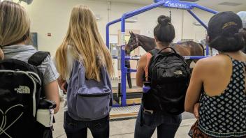 UC Davis Pre-College students visit a lab that records horse movement on a treadmill.