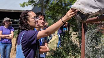 A UC Davis Pre-College student interacts with a horse during a lab at the Animal Science Horse Barn
