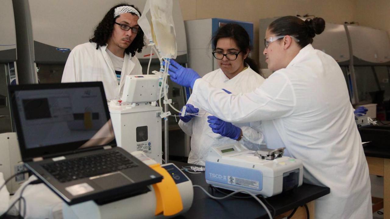 Cell & Gene scientists at work