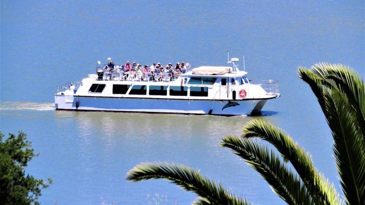 Dolphin Charter boat.jpg