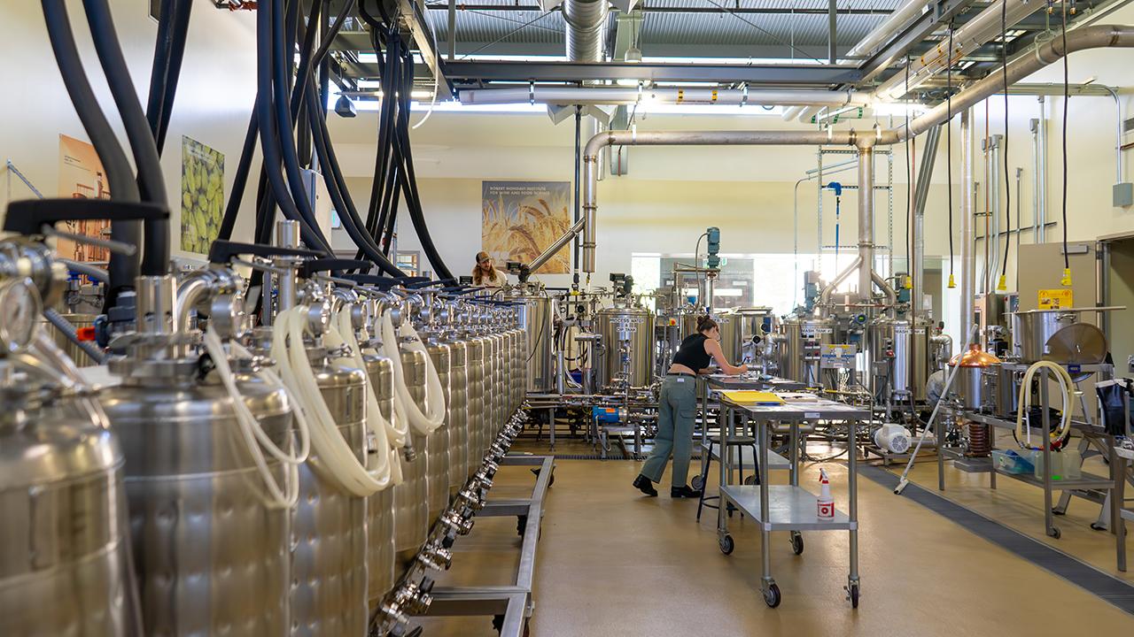 UC Davis online Master Brewers student Giuliana Ciccarino