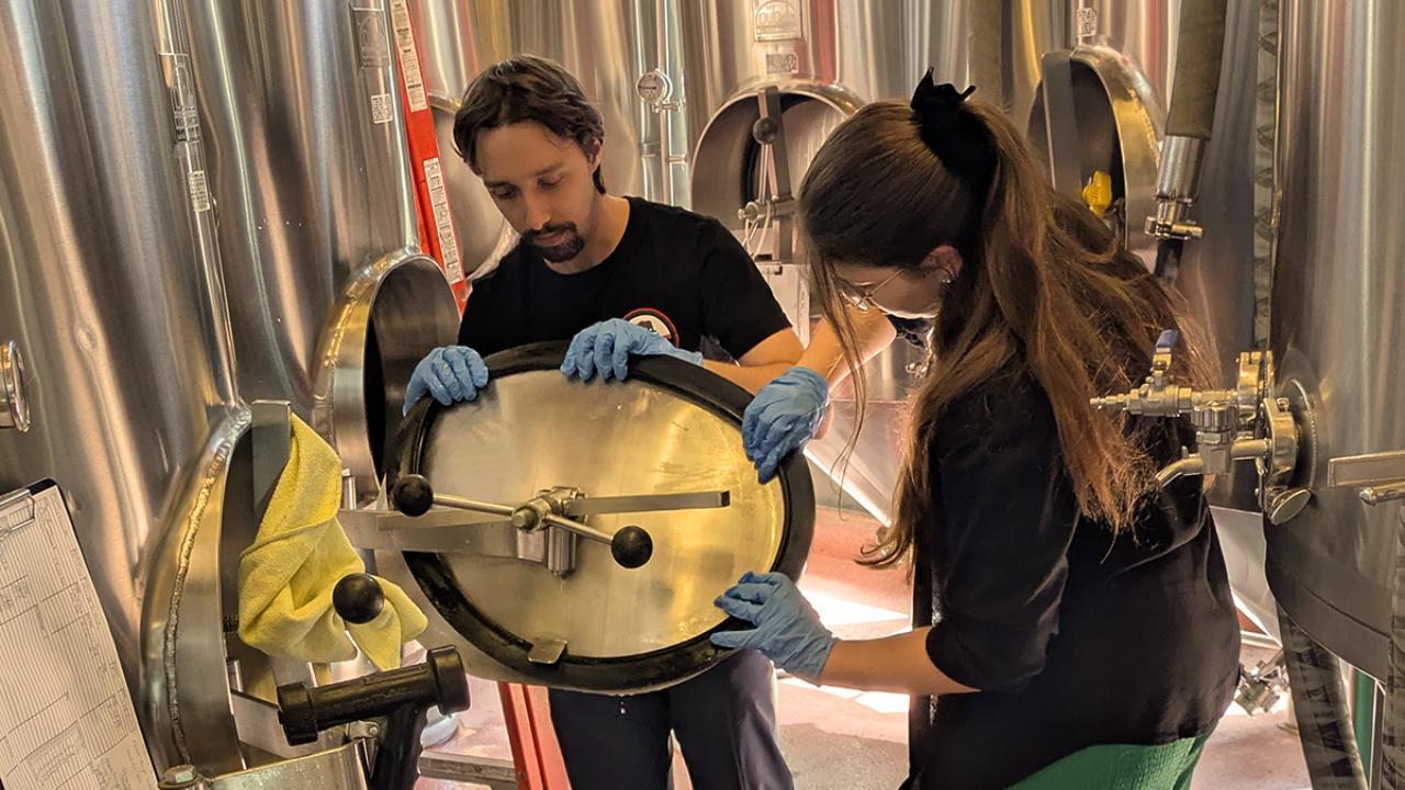 two students from the UC Davis Master Brewers Program look in a vat during a collaboration with Oak Park Brewing