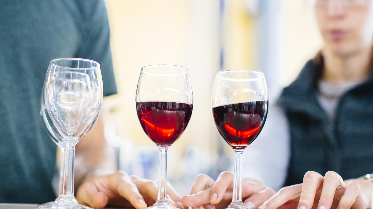 Winemaking Students tasting wine in glasses