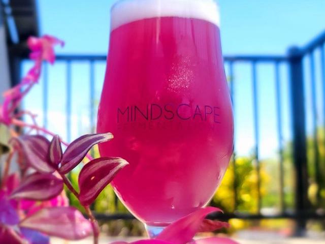 a close up of a bright pink drink from Mindscape Fermentations