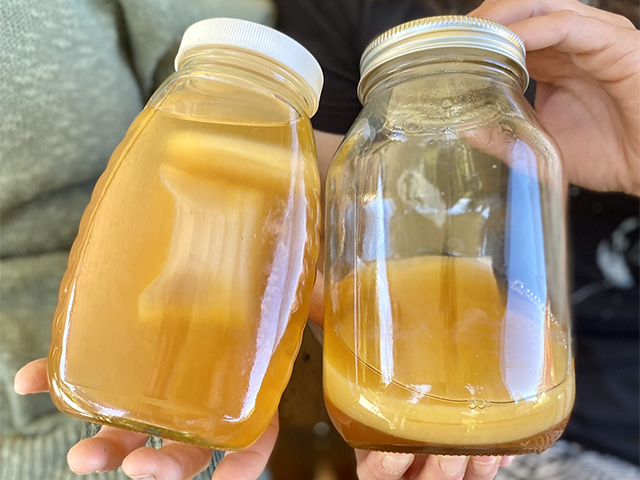 close up of jars of SCOBY