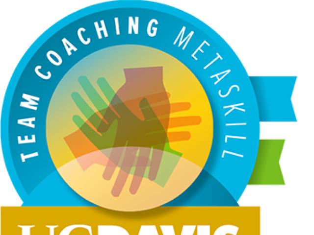 team coaching metaskill badge