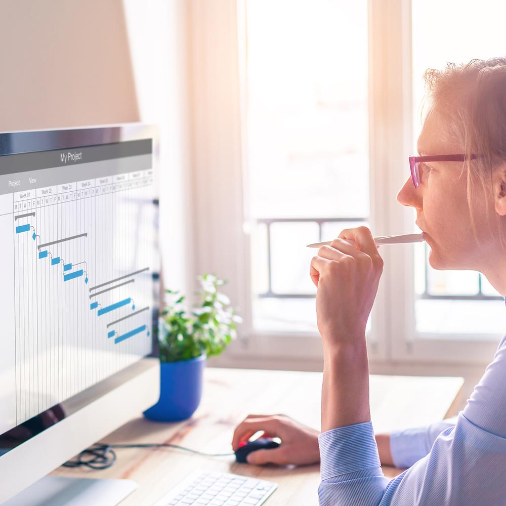 woman studying a gantt chart on a computer monitor