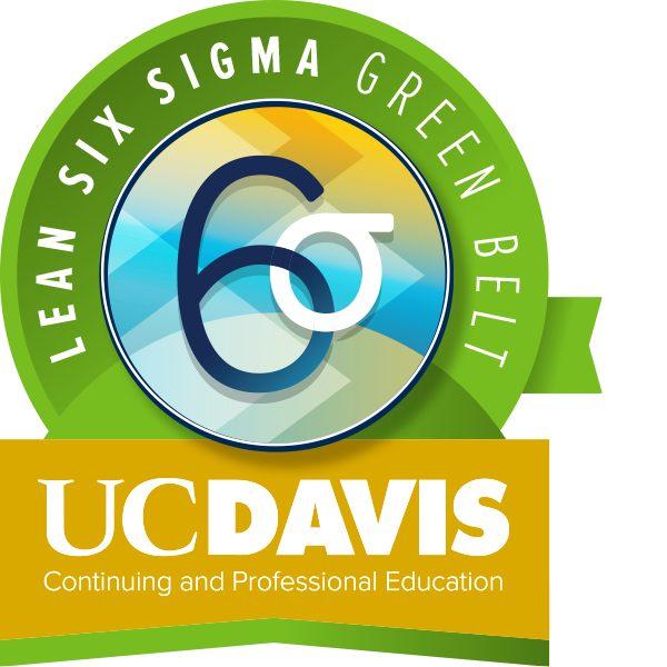 Lean Six Sigma Digital Badge