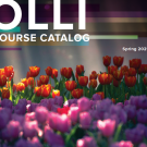 OLLI spring 2025 course catalog cover