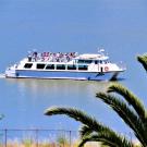Dolphin Charter boat.jpg