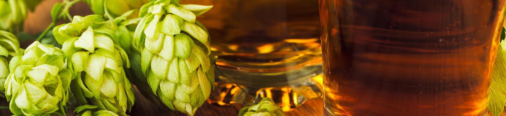 beer and hops