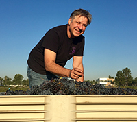 Winemaking Certificate grad Richard Krumwiede with grapes