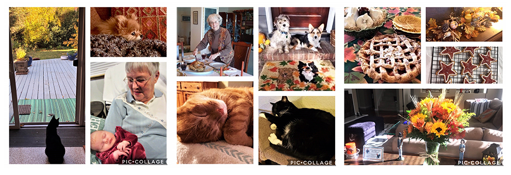 collage of photos with pets and grandma with baby