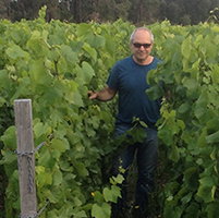 Winemaking Certificate grad Will Berliner in his vineyard