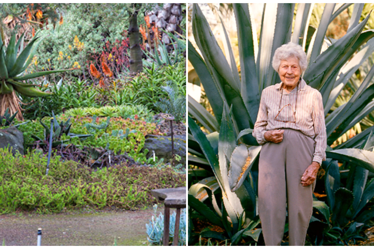 Collage of Ruth Bancroft and garden