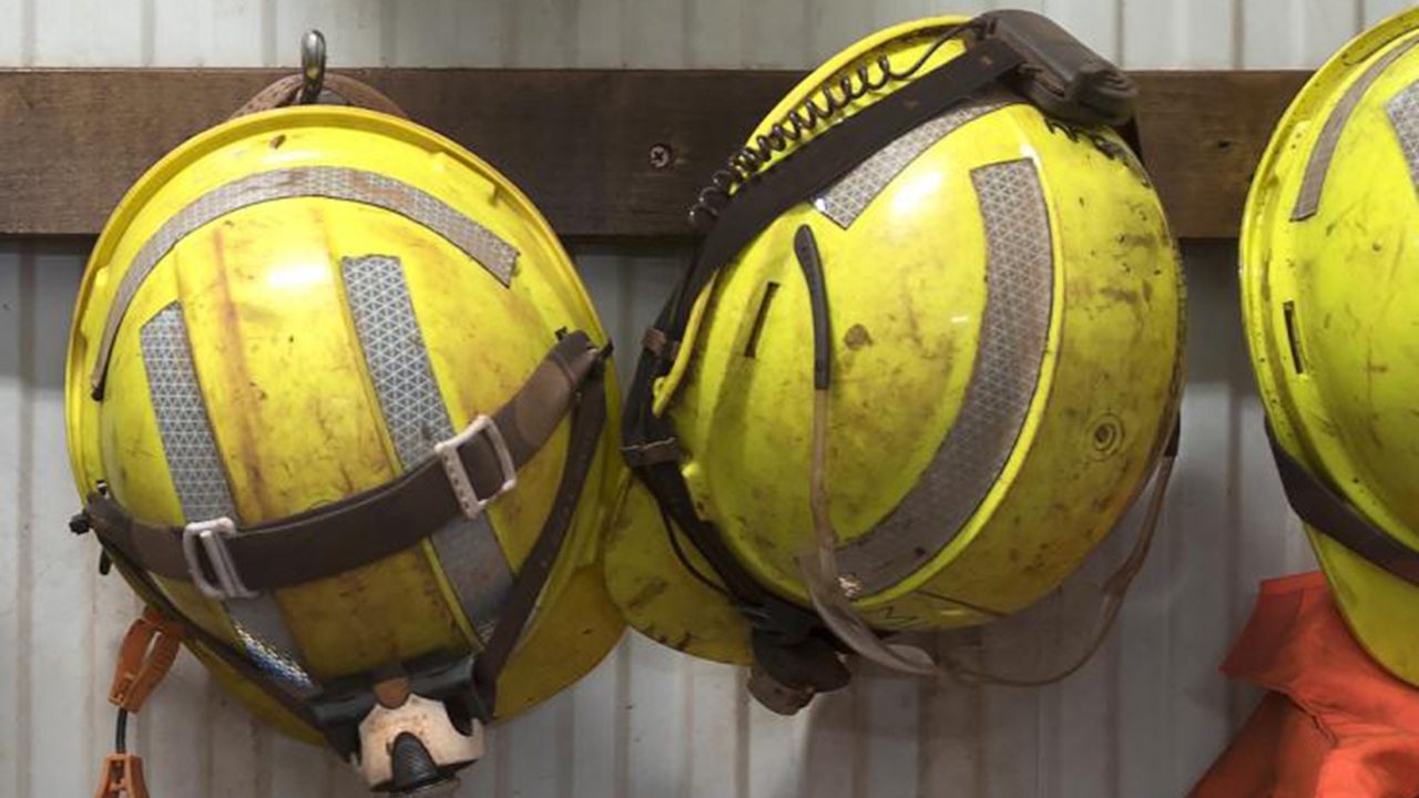 hard hats hanging on hooks on a wall