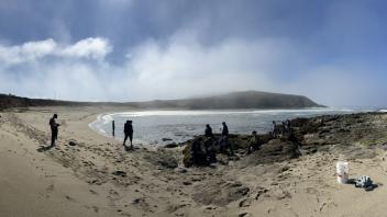 A panoramic view of the cove at Bodega Marine Laboratory with sandy beach to the left and intertidal pools to right