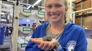 UC Davis Pre-College student holds an abalone from the collections at BML