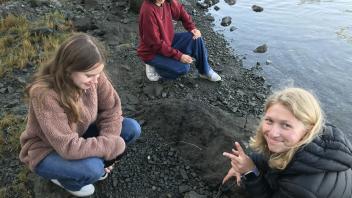 UC Davis Pre-college students explore the shore of Bodega Bay during an evening walk