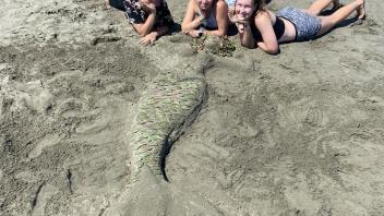 UC Davis Pre-College students enjoy a full day at one of the popular beaches in Bodega Bay