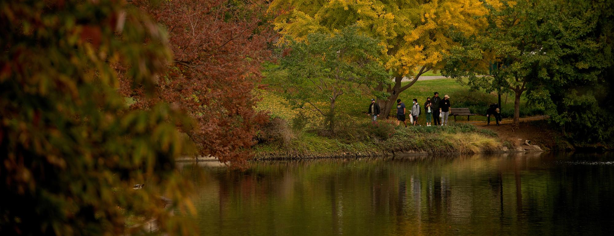 people among autumn trees and a pond