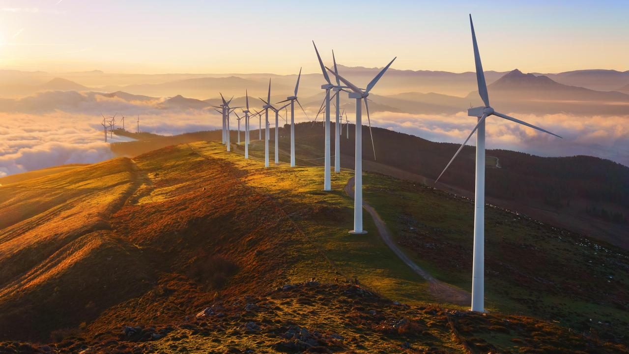 Planning and Sustainability