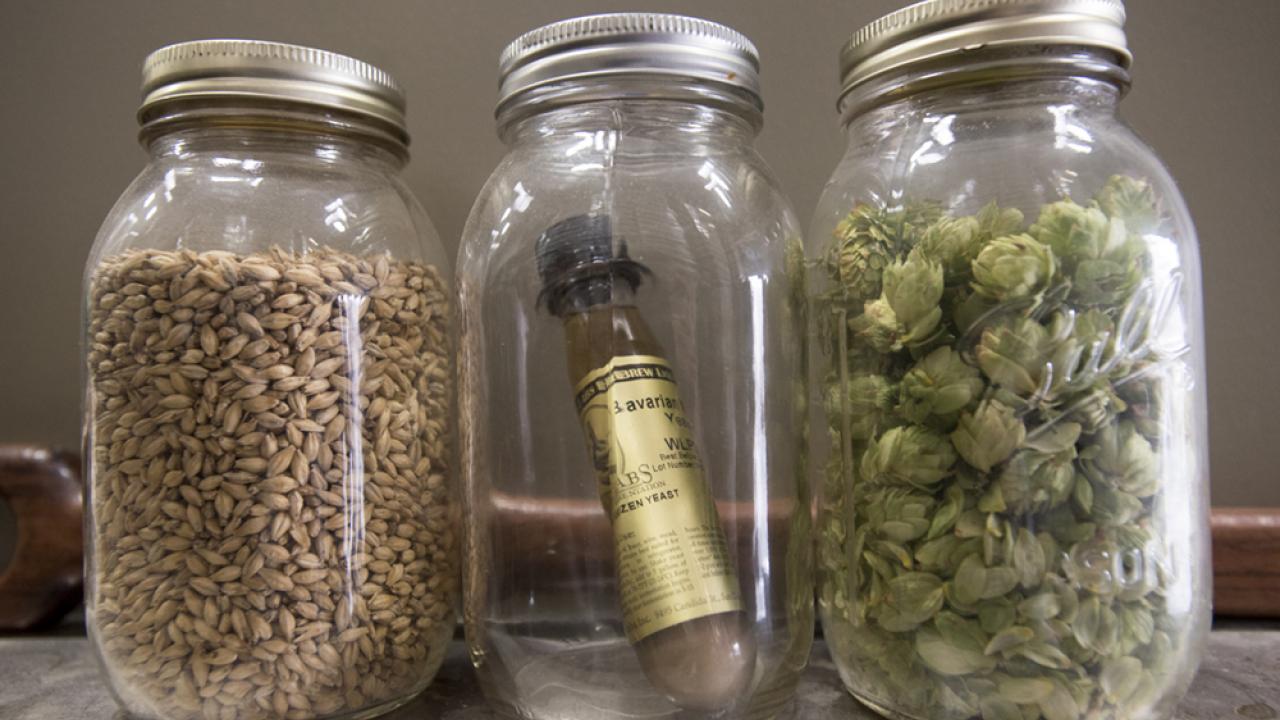 brewing ingredients malt, yeast and hops