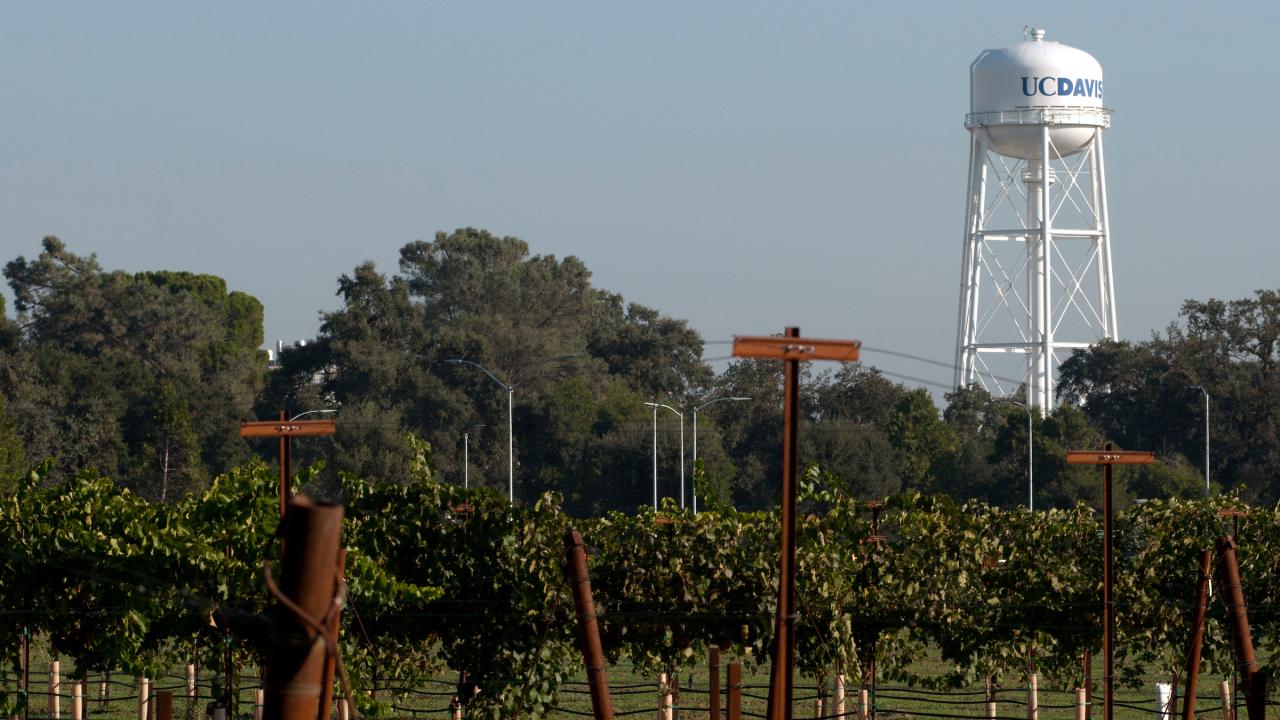 Classic picture of the UC Davis water tower