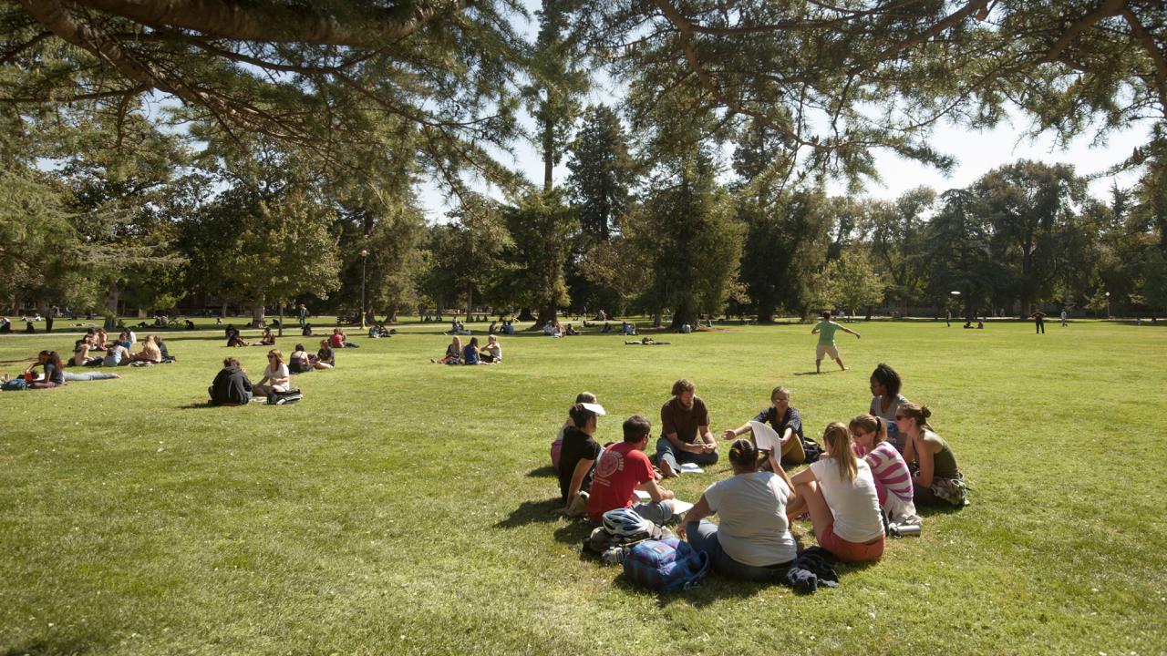 students hang out on the UC Davis Quad