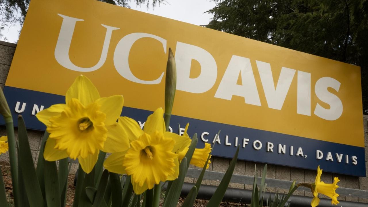Picture of the UC Davis sign