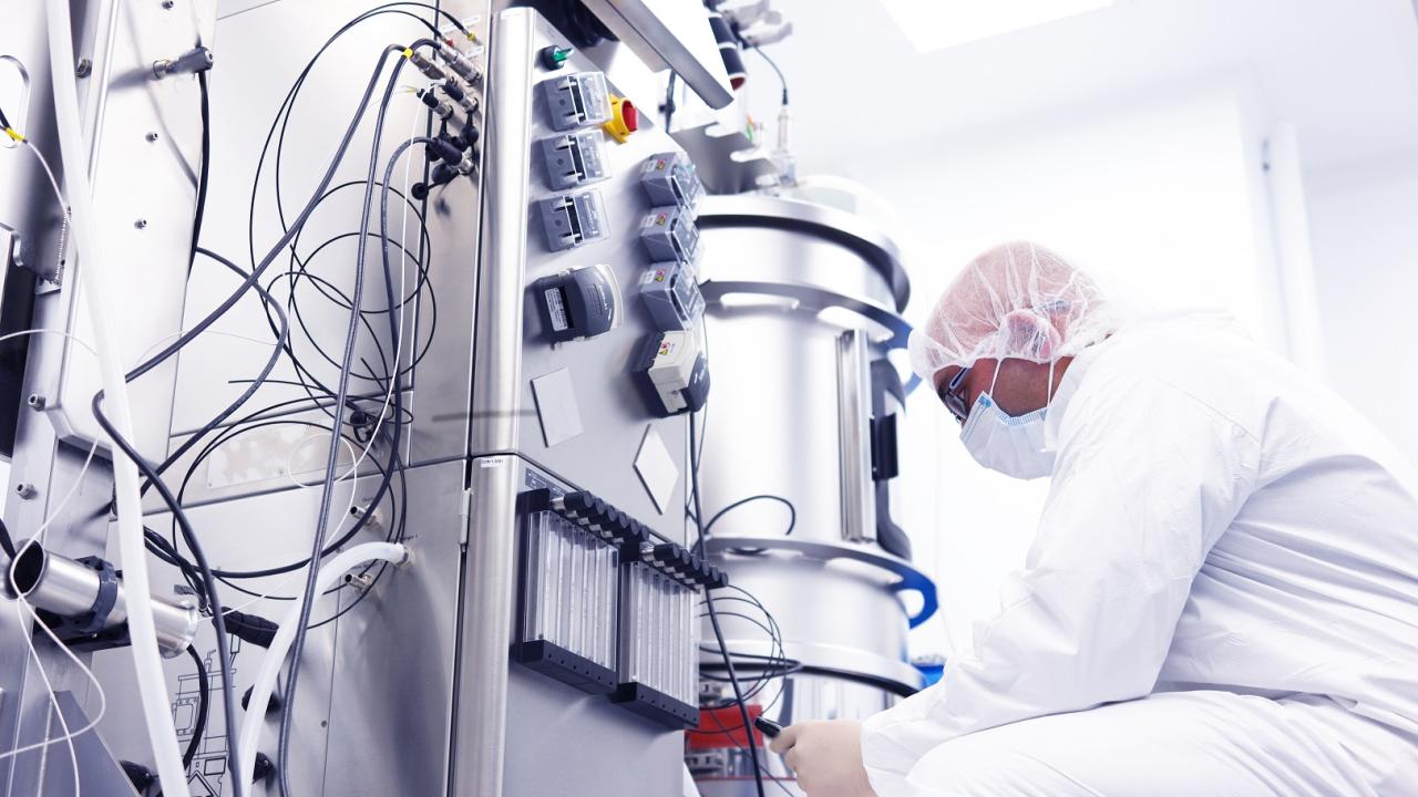 Scientist looking at equipment