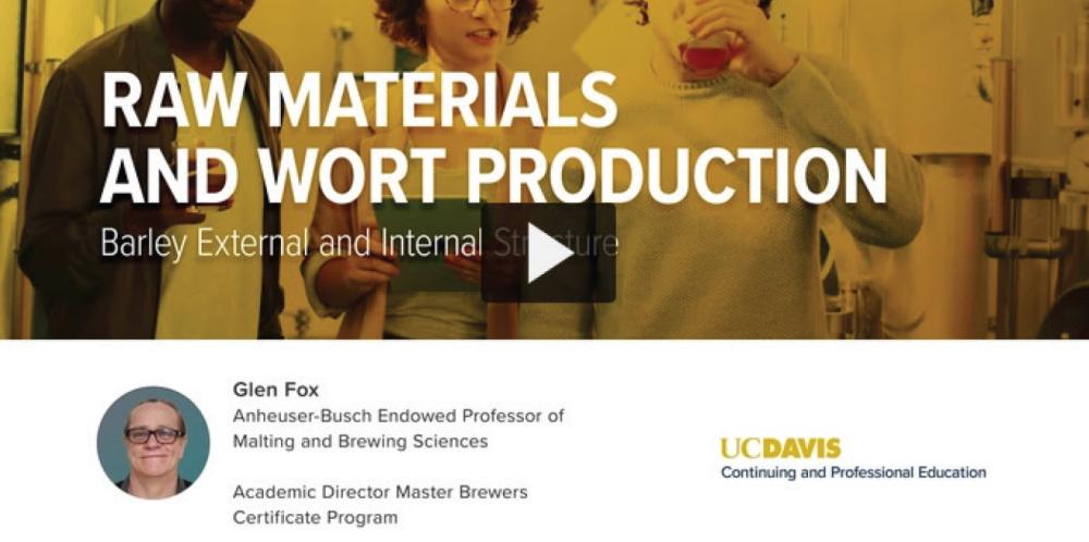video thumbnail raw materials sample lesson