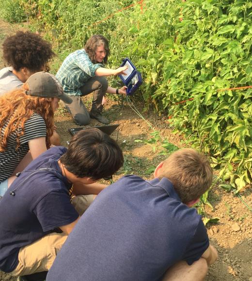Pre-College students looking at plants