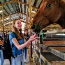 Pre-college students looking at a horse
