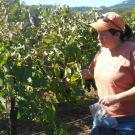 Winemaking certificate program instructor Patricia Howe sampling grapes