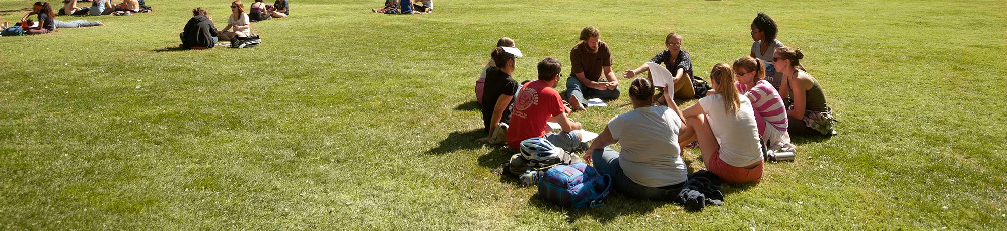 teenagers studying in a group in a park