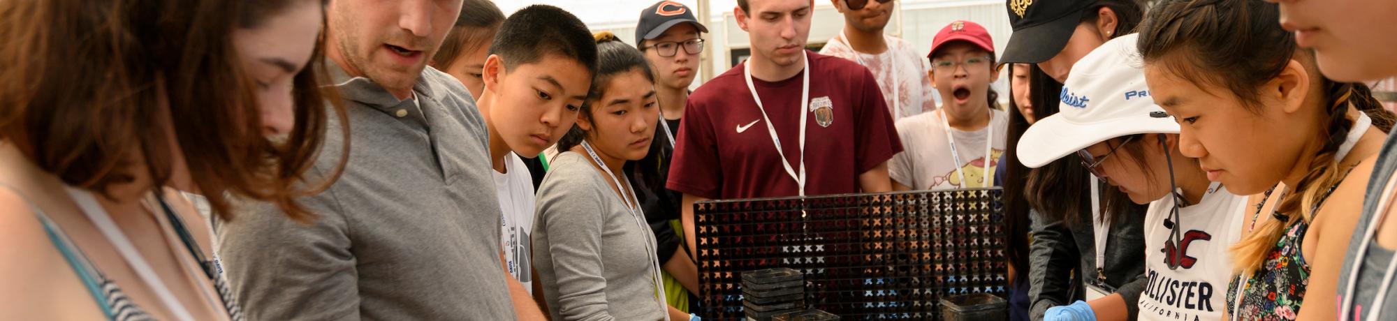 UC Davis students and youth looking at samples